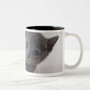 Caneca De Café Em Dois Tons Gatinho do azul do russo