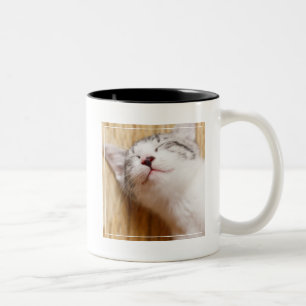 Caneca De Café Em Dois Tons Gatinho do sono