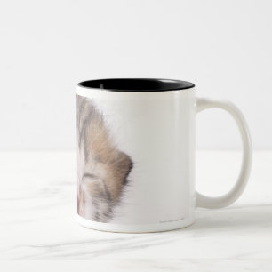Caneca De Café Em Dois Tons Gatinho do sono, fim-acima da cabeça