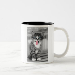 Caneca De Café Em Dois Tons Gatinho engraçado