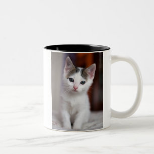 Caneca De Café Em Dois Tons Gatinho manchado branco