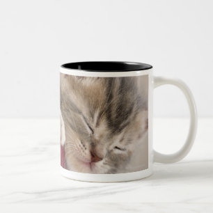 Caneca De Café Em Dois Tons Gatinho que dorme na bacia