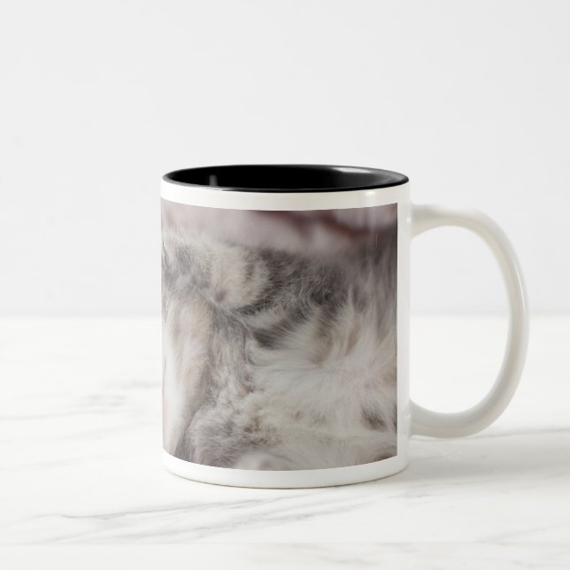 Caneca De Café Em Dois Tons Gatinho que dorme na toalha (Direita)