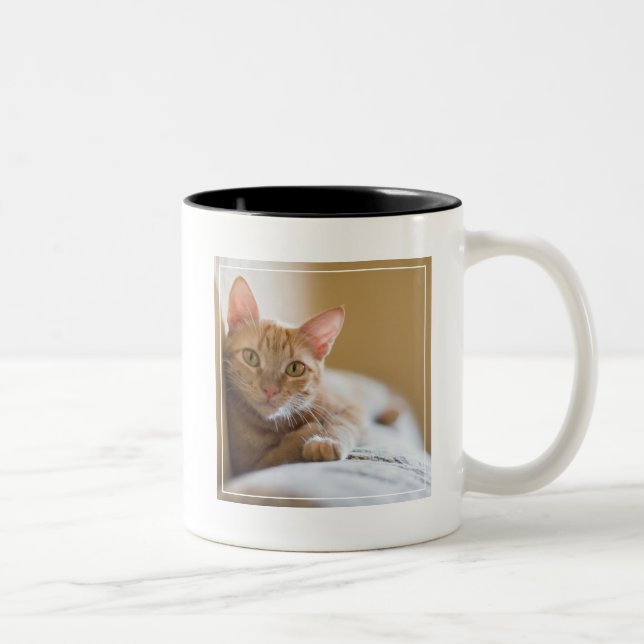 Caneca De Café Em Dois Tons Gatinho que encontra-se no sofá (Direita)
