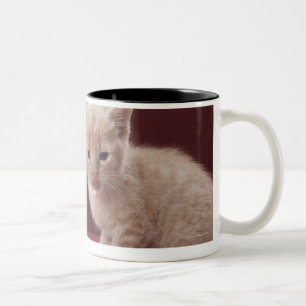 Caneca De Café Em Dois Tons Gatinho que lambe o leite derramado da garrafa