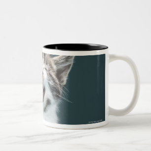 Caneca De Café Em Dois Tons Gatinho que meowing