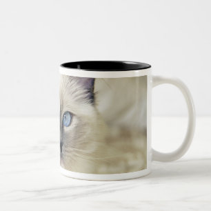 Caneca De Café Em Dois Tons gatinho Ragdoll