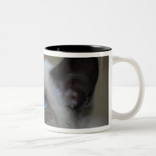 Caneca De Café Em Dois Tons Gatinho Siamese