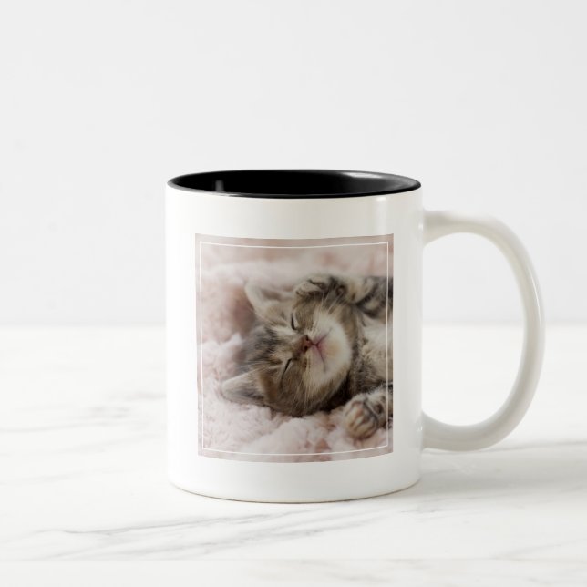 Caneca De Café Em Dois Tons Gatinho sonolento (Direita)