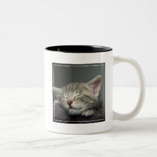 Caneca De Café Em Dois Tons Gatinho sonolento