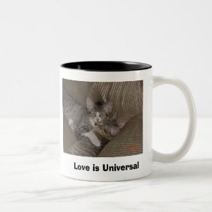 Caneca De Café Em Dois Tons Gatinhos