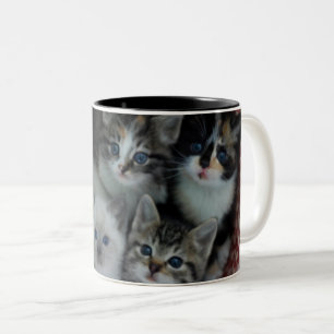 Caneca De Café Em Dois Tons Gatinhos em uma cesta
