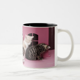 Caneca De Café Em Dois Tons Gatinhos na casa de boneca