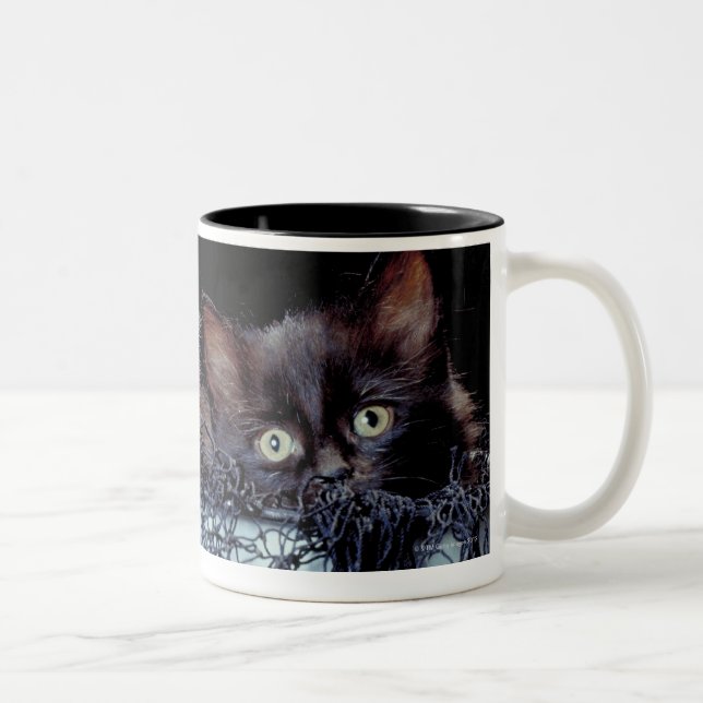 Caneca De Café Em Dois Tons Gatinhos no recipiente (Direita)