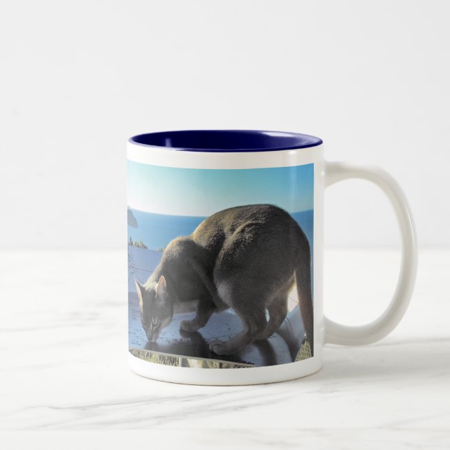Caneca De Café Em Dois Tons Gato Abissino pelo Mar (Direita)