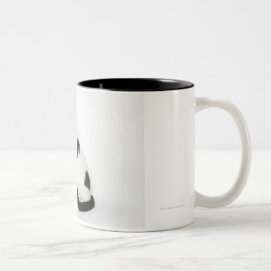 Caneca De Café Em Dois Tons Gato branco com pontos pretos