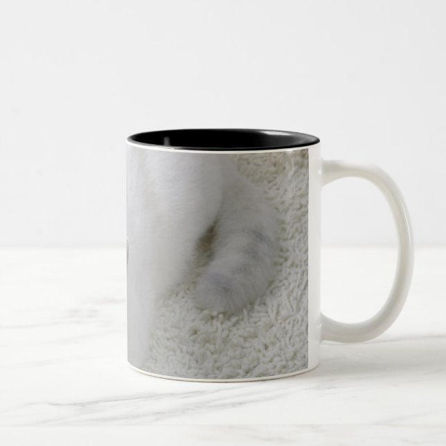 Caneca De Café Em Dois Tons Gato branco que olha acima (Direita)