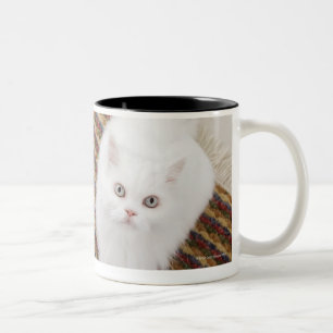 Caneca De Café Em Dois Tons Gato branco que senta-se na esteira
