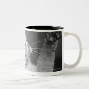 Caneca De Café Em Dois Tons Gato com patas aumentadas (B&W)