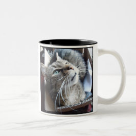 Caneca De Café Em Dois Tons Gato da caixa o