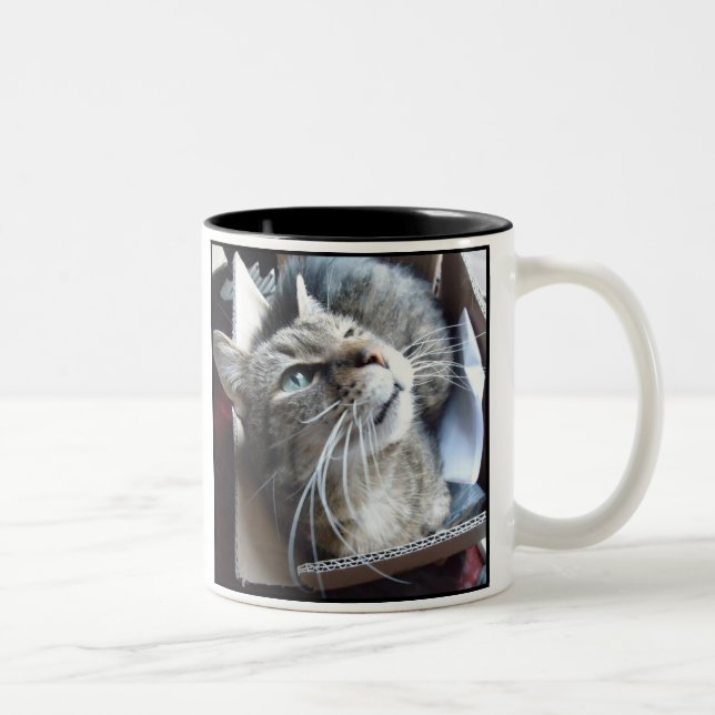Caneca De Café Em Dois Tons Gato da caixa o (Direita)