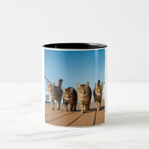 Caneca De Café Em Dois Tons Gato de Cruzeiro Aventurado