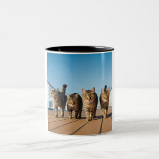 Caneca De Café Em Dois Tons Gato de Cruzeiro Aventurado