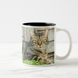 Caneca De Café Em Dois Tons Gato de gato malhado