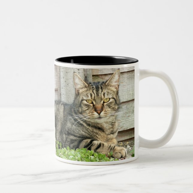 Caneca De Café Em Dois Tons Gato de gato malhado (Direita)