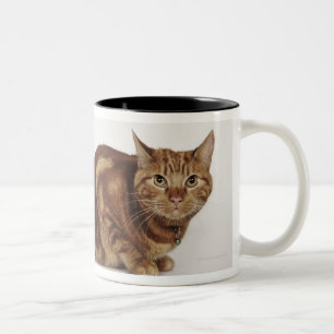 Caneca De Café Em Dois Tons Gato de gato malhado alaranjado