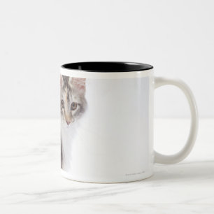 Caneca De Café Em Dois Tons Gato de racum de Maine