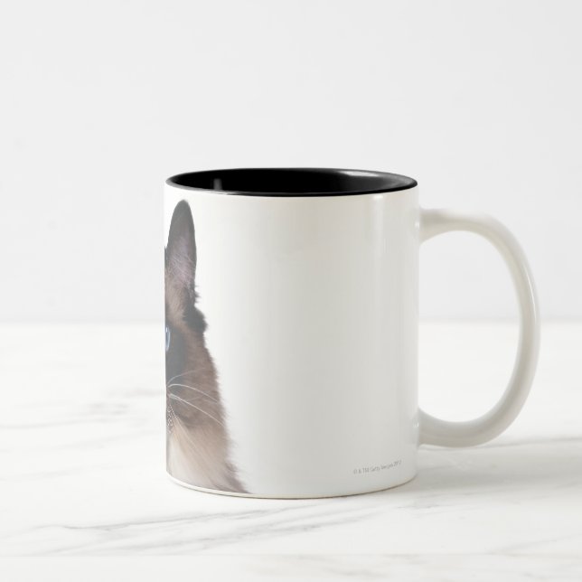 Caneca De Café Em Dois Tons Gato de Ragdoll (Direita)