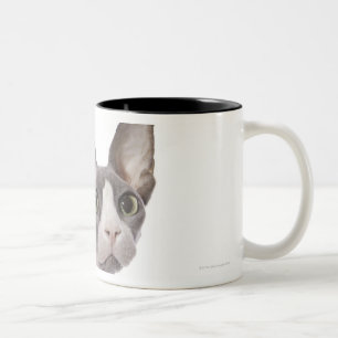 Caneca De Café Em Dois Tons Gato de Sphynx com expressão surpreendida