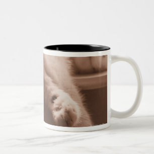 Caneca De Café Em Dois Tons Gato do sono