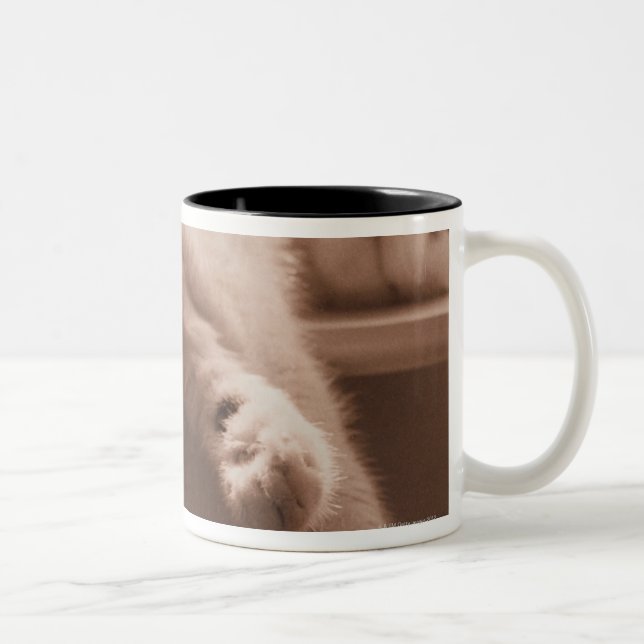 Caneca De Café Em Dois Tons Gato do sono (Direita)