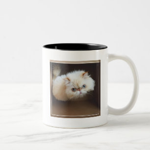 Caneca De Café Em Dois Tons Gato em uma caixa