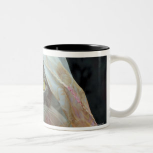 Caneca De Café Em Dois Tons Gato envolvido no pano