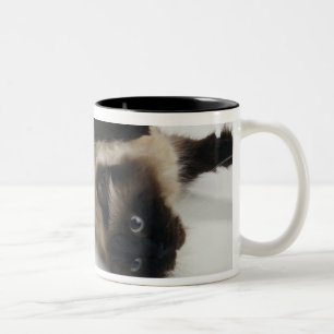 Caneca De Café Em Dois Tons Gato Himalaia que encontra-se em seu para trás