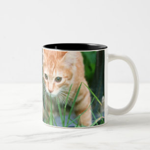 Caneca De Café Em Dois Tons Gato japonês 3