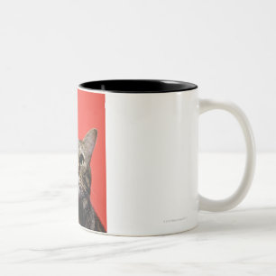 Caneca De Café Em Dois Tons Gato japonês que olha acima