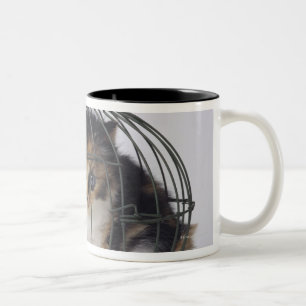 Caneca De Café Em Dois Tons Gato na gaiola