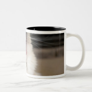 Caneca De Café Em Dois Tons gato Neva Masquerade bocejando