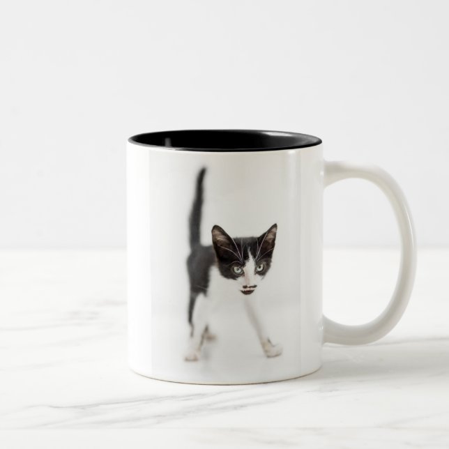 Caneca De Café Em Dois Tons Gato pequeno (Direita)