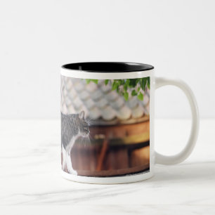 Caneca De Café Em Dois Tons Gato que anda no telhado da vertente