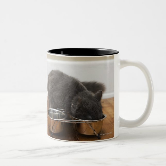 Caneca De Café Em Dois Tons Gato que come da bacia (Direita)
