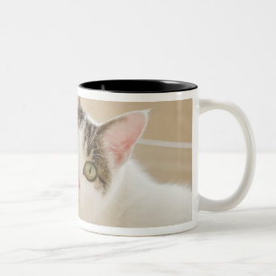 Caneca De Café Em Dois Tons Gato que encontra-se em escadas