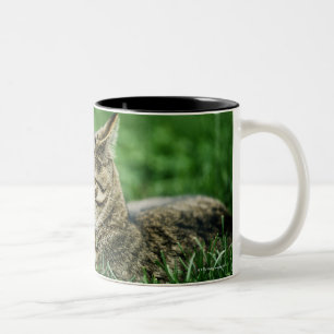 Caneca De Café Em Dois Tons Gato que encontra-se na grama