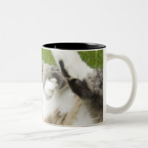 Caneca De Café Em Dois Tons Gato que encontra-se na grama, fim-acima