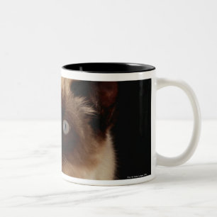 Caneca De Café Em Dois Tons Gato que espreita através da edredão