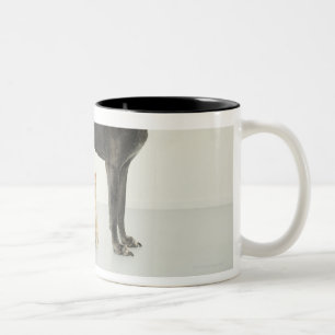 Caneca De Café Em Dois Tons Gato que senta-se abaixo de great dane